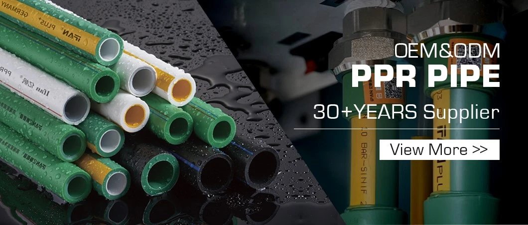 ppr01